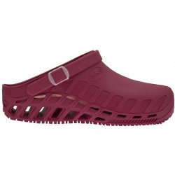 CLOG EVO TPR Wine
 Pointure-36 Couleur-Wine