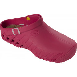 CLOG EVO (M) TPR WINE