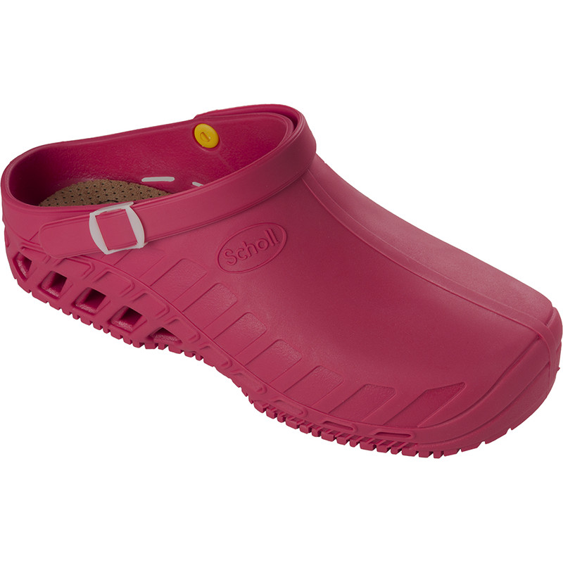 CLOG EVO (M) TPR WINE