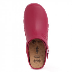 CLOG EVO (M) TPR WINE