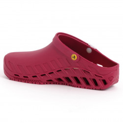 CLOG EVO (M) TPR WINE
