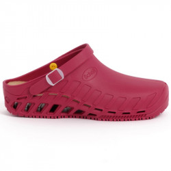 CLOG EVO (M) TPR WINE