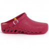 CLOG EVO (M) TPR WINE